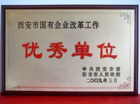 2009年5月，被西安市委、市政府評(píng)為西安市國(guó)企業(yè)改革工作優(yōu)秀單位