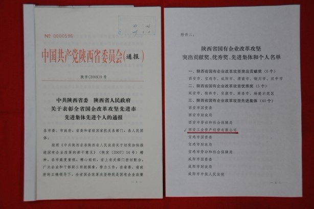 2009年2月，被陜西省委、省政府授予陜西省國(guó)有企業(yè)改革攻堅(jiān)先進(jìn)集體